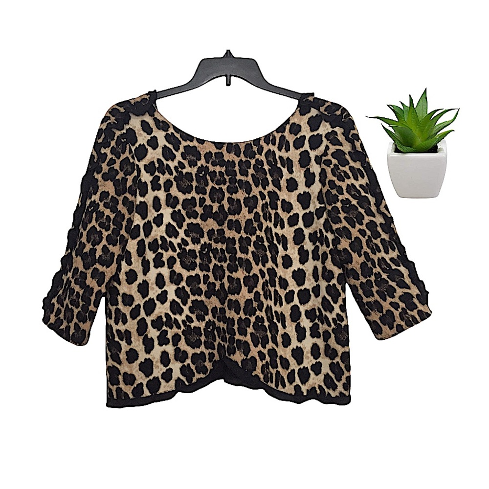 Zara Leopard Print Quarter Sleeve Top